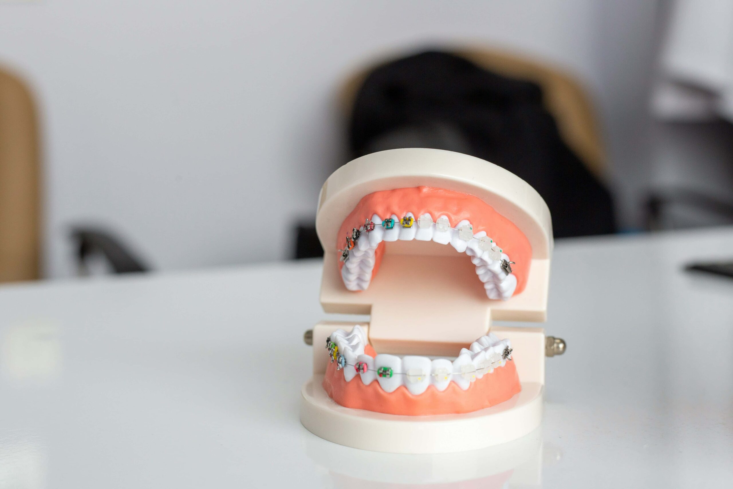 tooth model